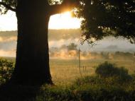 Углище з panoramio.com