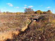 Данилове з panoramio.com