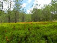 Турійськ з panoramio.com - Турийск