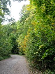 Скоморохи з panoramio.com