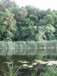 Геївка з panoramio.com