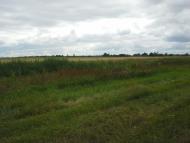 Сошники з panoramio.com