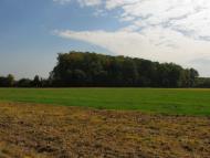 Лісна Поляна з panoramio.com