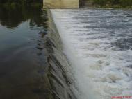 Осички з panoramio.com