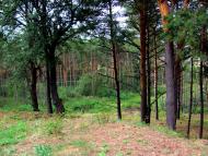 Костюхнівка з panoramio.com