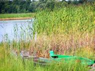 Луко з panoramio.com