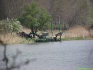 Цеханівка з panoramio.com