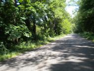 Кунин з panoramio.com