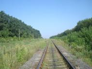 Тарасівка з panoramio.com