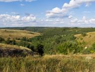 Бровахи з panoramio.com