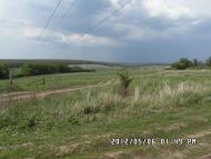 Куряжанка з panoramio.com