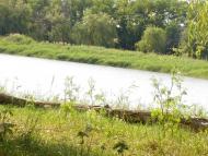 Козацьке з panoramio.com