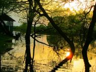 Семки з panoramio.com