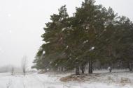 Червоний Донець з panoramio.com - Червоный Донец