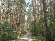 Таранське з panoramio.com