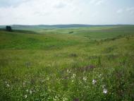 Ярівка з panoramio.com