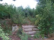 Веселий Кут з panoramio.com