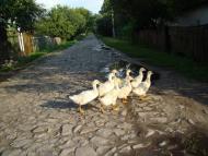 Велика Бурімка з panoramio.com