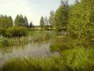 Єлівка - Останні фото