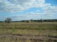 Синичине з panoramio.com