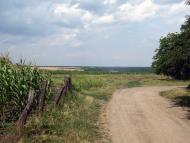 Жеребкове з panoramio.com