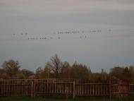 Білий Берег з panoramio.com