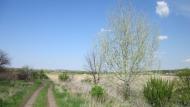 Зеленівка з panoramio.com