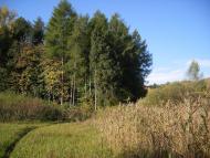 Піщатинці з panoramio.com