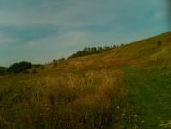 Травневе з panoramio.com