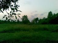 Будилка з panoramio.com