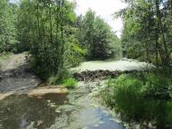 Самари-Оріхові з panoramio.com