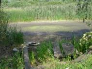 Дзержинське з panoramio.com