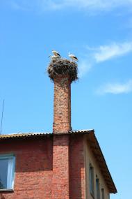 Нові Велідники з panoramio.com