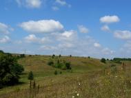 Сніжки з panoramio.com