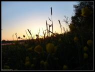 Геївка з panoramio.com