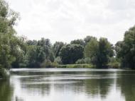 Івашківка з panoramio.com