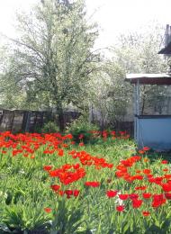 Сонячне з panoramio.com