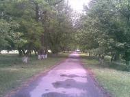 Гурівці з panoramio.com