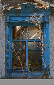 В'язівка з panoramio.com