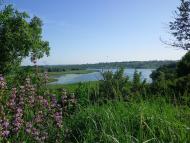 Майданецьке з panoramio.com - Maydanetske