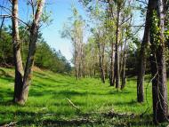 Ананьїв з panoramio.com