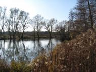 Миколаївка з panoramio.com