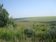 Тарасівка з panoramio.com