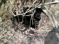 Сможе з panoramio.com