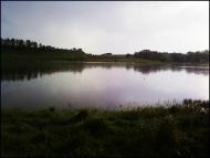 Малі Дмитровичі з panoramio.com