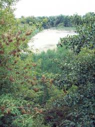 Косівщина з panoramio.com