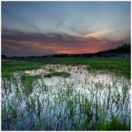 Вовчанські Хутори з panoramio.com