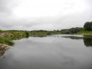 Купчичі з panoramio.com