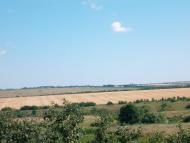 Польове з panoramio.com