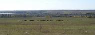 Широка Балка з panoramio.com - Широка Балка